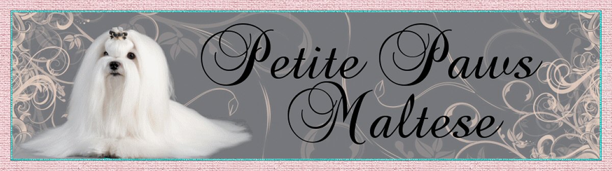 Petite Paws Maltese Logo